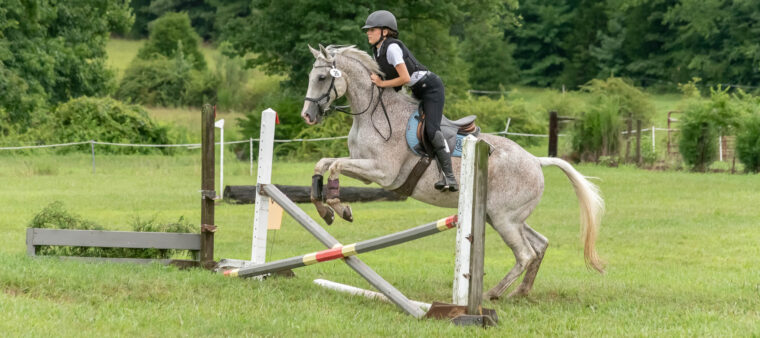 D/CT Show at Hillcrest Farms, Mocksville, NC