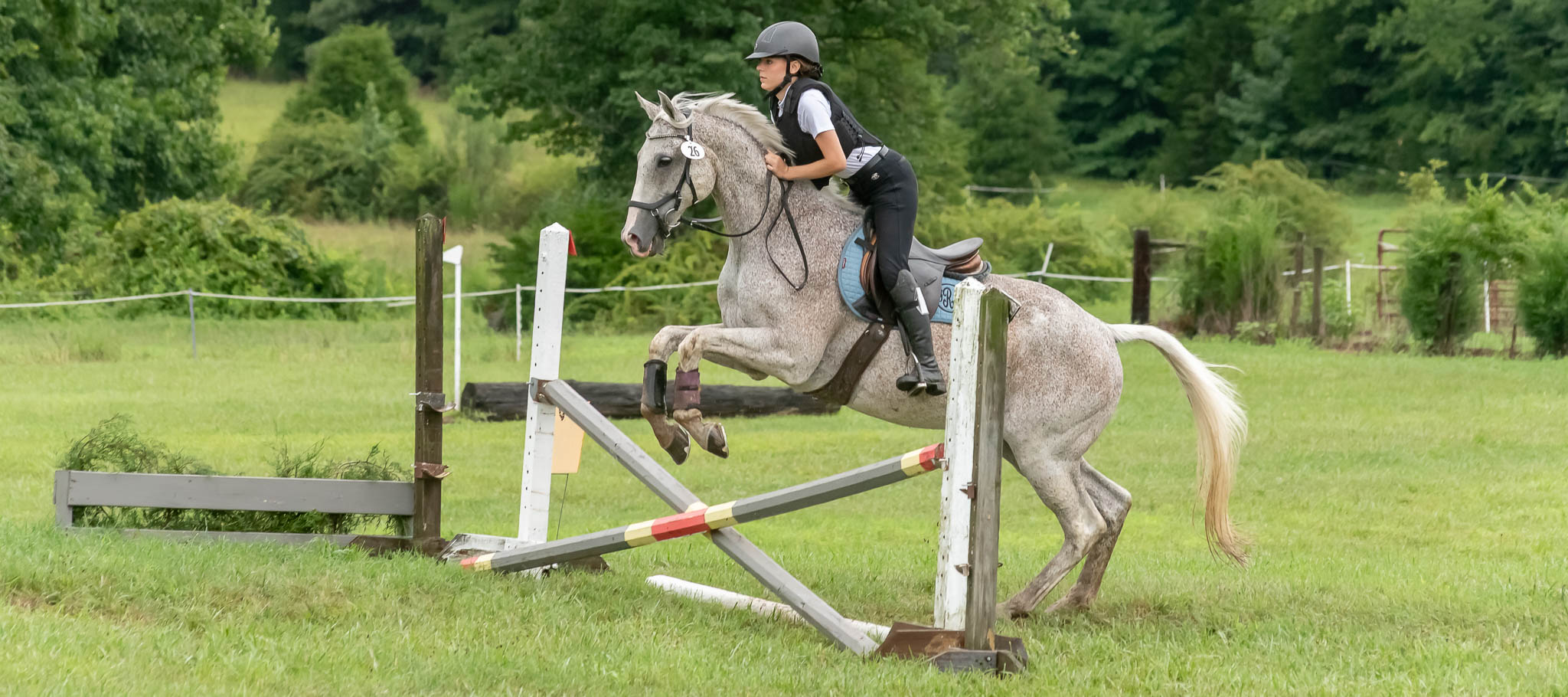 D/CT Show at Hillcrest Farms, Mocksville, NC
