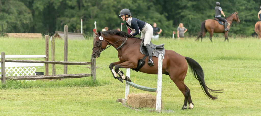 D/CT Show at Hillcrest Farms, Mocksville, NC