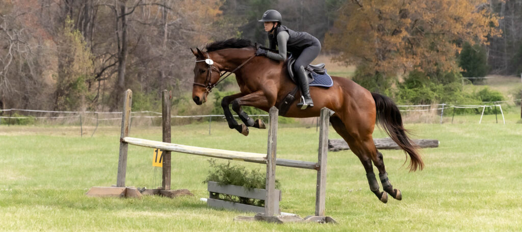 Show Jumping Event at Hillcrest Farms, Mocksville, NC