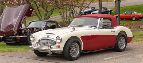 An Austin Healey at the British Car Show at Shelton Vineyards, Dobson NC