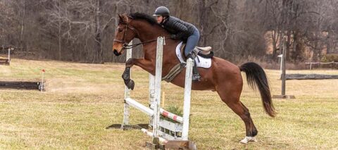 Horse Show at Hillcrest Farms, Mocksville, NC