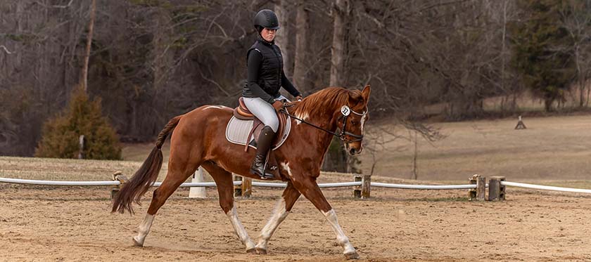 Dressage Event at Hillcrest Farms, Mocksville, NC