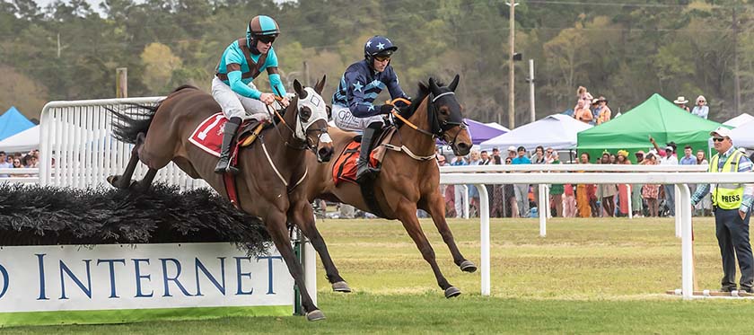 The Carolina Cup Races, Camden, SC