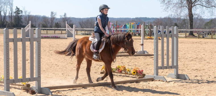 Winter Hunter Show TTC Mocksville NC | Copyright 2025 - Duncan Moody | Sabela Images Photography